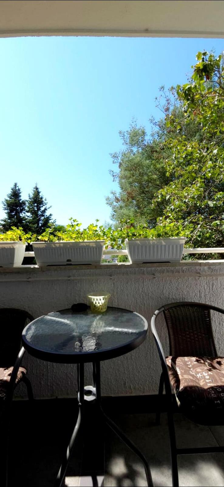 Ferienwohnung Diana Poreč Exterior foto